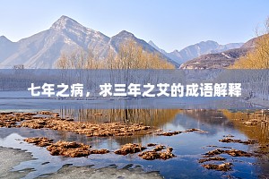 七年之病，求三年之艾的成语解释