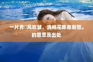 一片青风吹皱，洗桃花昨夜新愁。的意思及出处