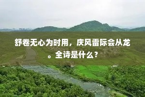 舒卷无心为时用，庆风雷际会从龙。全诗是什么？