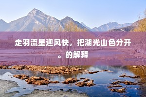 走羽流星迎风快，把湖光山色分开。的解释