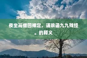 夜坐高僧回禅定，诵琅函九九残经。的释义