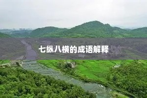 七纵八横的成语解释