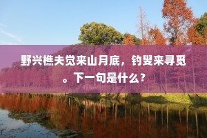 野兴樵夫觉来山月底，钓叟来寻觅。下一句是什么？