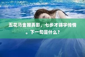 五花马金鞭弄影，七步才锦字传情。下一句是什么？