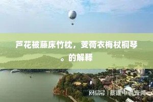 芦花被藤床竹枕，芰荷衣梅杖桐琴。的解释