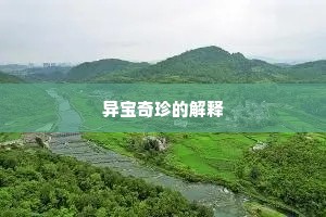 异宝奇珍的解释