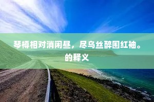 琴樽相对消闲昼，尽乌丝醉围红袖。的释义