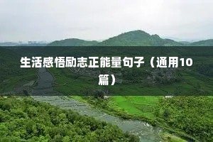 生活感悟励志正能量句子（通用10篇）