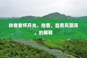 秋夜客怀月光，桂香，趁着风飘荡。的解释