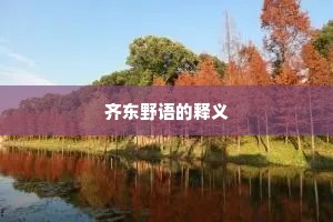 齐东野语的释义