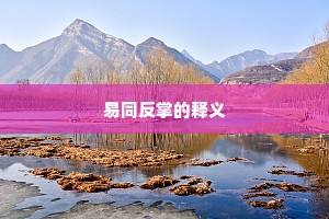 易同反掌的释义