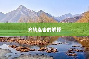 齐轨连辔的解释