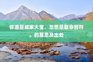 你道是成家大宝,怎想是取命官符。的意思及出处 你道是成家大宝,怎想是取命官符。的意思及出处