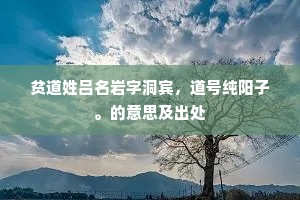 贫道姓吕名岩字洞宾，道号纯阳子。的意思及出处