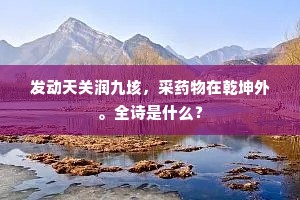 发动天关润九垓，采药物在乾坤外。全诗是什么？
