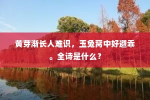黄芽渐长人难识，玉兔窝中好避乖。全诗是什么？