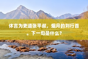 休言为吏道张平叔，烟月的刘行首。下一句是什么？