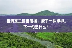 吕洞宾三醉岳阳楼，度了一株绿柳。下一句是什么？