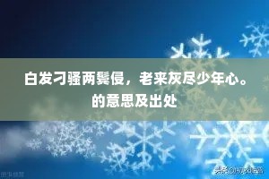 白发刁骚两鬓侵，老来灰尽少年心。的意思及出处