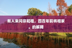 有人来问宗和祖，四百年前将相家。的解释