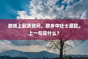 故纸上前贤坎坷，醉乡中壮士磨跎。上一句是什么？