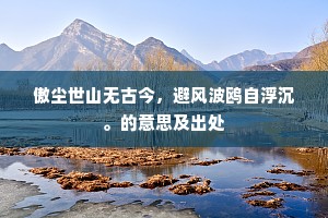 傲尘世山无古今，避风波鸥自浮沉。的意思及出处