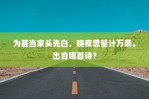 为甚当家头先白，晓夜思量计万条。出自哪首诗？