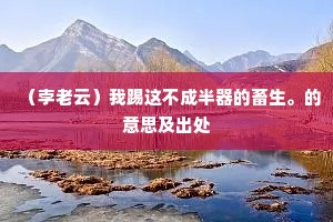 （孛老云）我踢这不成半器的畜生。的意思及出处