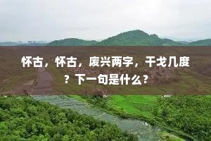 怀古，怀古，废兴两字，干戈几度？下一句是什么？