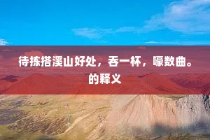 待拣搭溪山好处，吞一杯，嚎数曲。的释义