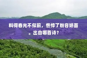 料得春光不似前，憔悴了粉容娇面。出自哪首诗？