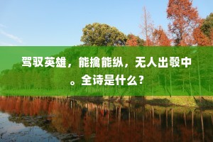 驾驭英雄，能擒能纵，无人出彀中。全诗是什么？