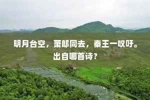 明月台空，萧郎同去，秦王一叹吁。出自哪首诗？