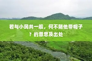 若与小民共一般，何不随他带帽子？的意思及出处