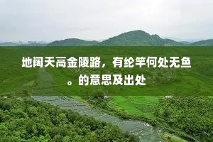 地阔天高金陵路，有纶竿何处无鱼。的意思及出处