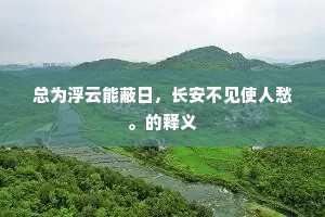 总为浮云能蔽日，长安不见使人愁。的释义