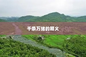 千条万绪的释义