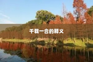 千载一合的释义