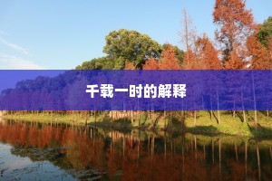 千载一时的解释