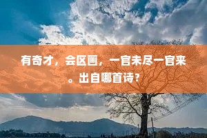 有奇才，会区画，一官未尽一官来。出自哪首诗？