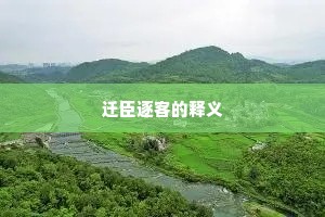 迁臣逐客的释义