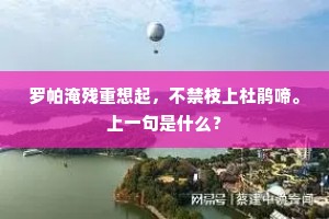 罗帕淹残重想起，不禁枝上杜鹃啼。上一句是什么？