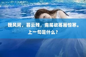 晚风闲，暮云残，鸾笺欲寄雁惊寒。上一句是什么？