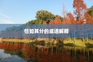 恰如其分的成语解释