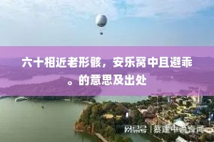 六十相近老形骸，安乐窝中且避乖。的意思及出处