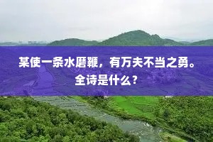 某使一条水磨鞭，有万夫不当之勇。全诗是什么？