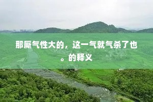 那厮气性大的，这一气就气杀了也。的释义