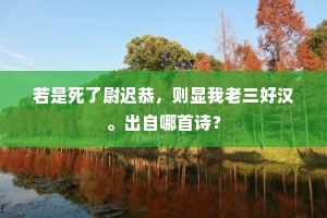 若是死了尉迟恭，则显我老三好汉。出自哪首诗？
