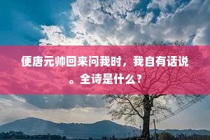 便唐元帅回来问我时，我自有话说。全诗是什么？