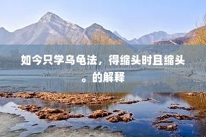 如今只学乌龟法，得缩头时且缩头。的解释
